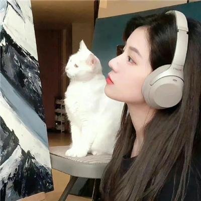 天鸟的喧嚣